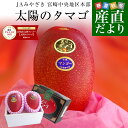 【ダイヤモンド・プラチナ会員限定クーポン配布中】楽天グルメ大賞受賞品！宮崎県より産地直送 JAみやざき 宮崎中央地区本部 完熟マンゴー 太陽のタマゴ2L×2玉 (350gから449g×2玉) 送料無料 宮崎マンゴー 太陽のたまご お中元 ギフト
