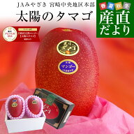 楽天グルメ大賞受賞品！宮崎県より産地直送 JAみやざき 宮崎中央地区本部 完熟マンゴー 太陽のタマゴ2L×…