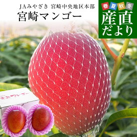 宮崎県より産地直送 JAみやざき　宮崎中央地区本部 宮崎完熟マンゴー 2L×2玉 合計700g以上 (350gから449g×2玉) 送料無料 まんごー 宮崎マンゴー