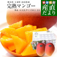 熊本県から産地直送 完熟マンゴー 玉東町 清田農園 秀品 大玉2Lサイズ 2玉（合計900g前後）送料無料 from…