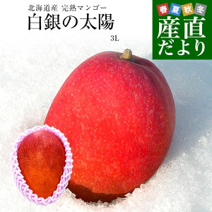 kCY@n}S[ȗzv3LTCY1ʁi450g509gj܂񂲁[ 