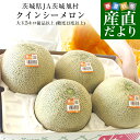 茨城県産 JA茨城旭村 クインシーメロン 優品以上 約5キロ (3玉から4玉) 4Lから3Lサイズ 送料無料 赤肉メロン めろん 赤肉