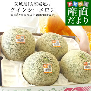 ��錧�Y JA��鈮�� �N�C���V�[������ �D�i�ȏ� ��5�L�� (3�ʂ���4��) 4L����3L�T�C�Y �������� �ԓ������� �߂�� �ԓ�