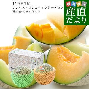 ��錧�Y JA��鈮�� �A���f�X���������N�C���V�[������ �G�i 2�ʃZ�b�g(���v��2�L��) 2L�T�C�Y �������� �� �ԓ� �������Z�b�g