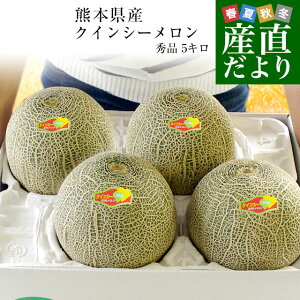 F{Y JAF{JAF{s NCV[ 3L2LTCY Gi 5L (4ʂ5)   ԓ