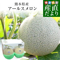 九州から産地直送 アールスメロン 2玉（合計約2.5キロ）送料無料 青肉 めろん マスクメロン
