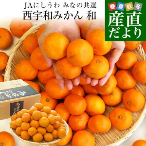 QYn JAɂ ݂Ȃ̋I Fa݂ a (Ȃ) LSTCY5L(40ʂ60ʑO)   ~J