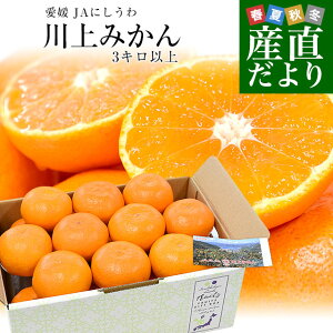 yΕ MtgzQ JAɂu݂v2LTCY 3Lȏi21ʁj ݂ ~J 