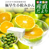 和歌山県 JAわかやま紀南地域本部 「紀南の極早生小粒みかん」品種：YN26 3Sサイズ 約3キロ(50玉前後入り…