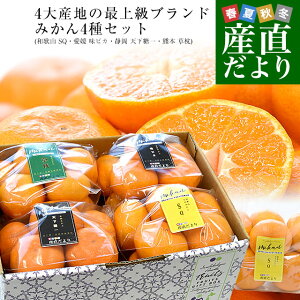 yΕ Mtgz4Yn̍ŏ㋉݂4lߍ킹ia̎R SQEQ sJEÉ VEF{ j LSTCY v2.8Lie6ʂ9×4j 