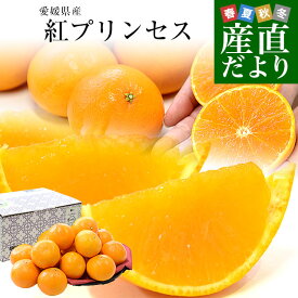 愛媛県産「紅プリンセス」優品以上 約2.5キロ2LからMサイズ(10玉から16玉前後入り) 送料無料 柑橘 紅まどんな 甘平 市場発送