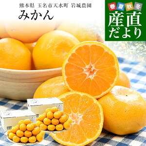 F{Yn ʖsV _ ݂ LSTCY 3L×2iv48ʂ72ʑOj ~J  iFARM