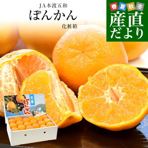 �F�{������Y�n���� JA�{�n�ܘa �|���J�� ���ϔ� L����2L�T�C�Y ��5�L��(36�ʂ���30��) �������� �ۂ񂩂� ���k