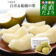 千葉県産 白井＆船橋の梨（幸水または豊水）秀品 特大サイズ 約2キロ(3玉から4玉入り) 送料無料 梨 なし …