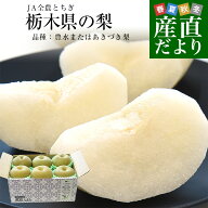 栃木県 JA全農とちぎ 梨（豊水またはあきづき）秀品 約2キロ (5玉から6玉) 送料無料 なし ナシ ほうすい …