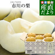 千葉県産 JAいちかわ 市川の梨 (曽谷・下貝塚支部他) 優品以上 大玉 約2キロ(4玉から6玉) 送料無料 梨 な…