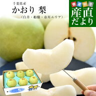 千葉県産 かおり 梨（白井・船橋・市川エリア）優品以上 大玉 約5キロ（5玉から10玉入り） 送料無料 梨 …