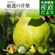 山形県より産地直送 厳選の洋梨 品種おまかせ（オーロラ・ゼネラルレクラーク・マルゲリットマリーラ・バ…