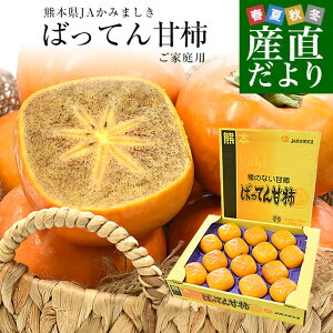 F{Yn JA݂܂ ΂ĂÊ` ƒp 3L4LTCY 3Li12ʂ14ʁj `  Ȃ` 햳`