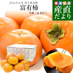 R JAӂӂ xmx xL` ԏGȏ LTCY 2.3L(10)  ` JL 