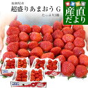 福岡県産 超盛りあまおう G たっぷり3箱 合計1.6キロ以上（約270g×6入り）計24粒から72粒 送料無料 アマオウ いちご …