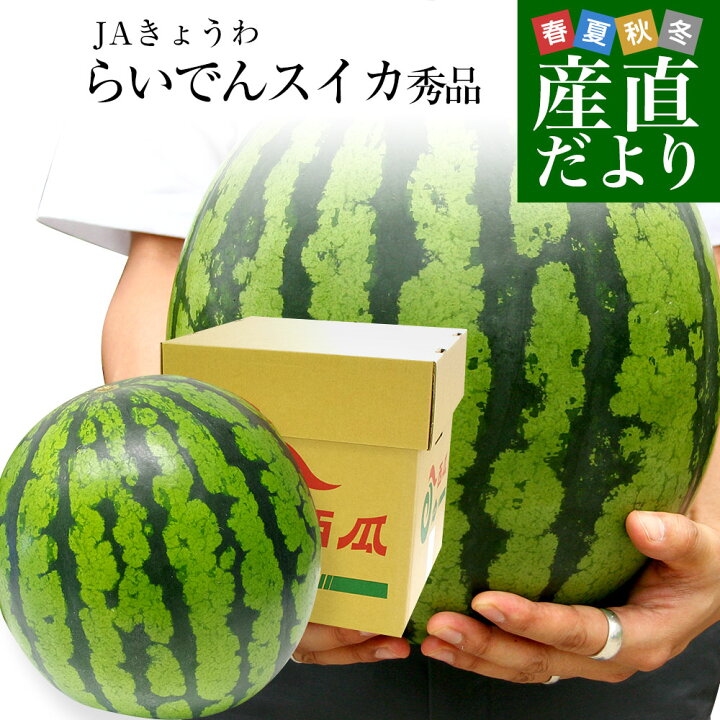 楽天市場】北海道より産地直送 JAきょうわ らいでんスイカ 超特大 秀品 
