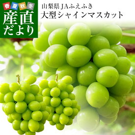 山梨県産 シャインマスカット 1.2キロ (大房2房) 送料無料 ぶどう 葡萄 種無し 皮ごと 話題のぶどう