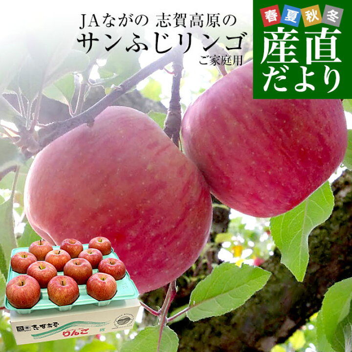 楽天市場 長野県より産地直送 Jaながの 志賀高原のサンふじリンゴ ご家庭用 約5キロ 12から玉 送料無料 林檎 りんご リンゴ 産直だより
