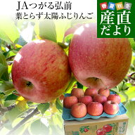 【決算特別価格！】青森県から産地直送 JAつがる弘前 葉とらず太陽ふじりんご 3キロ(8玉から13玉) 糖度13…