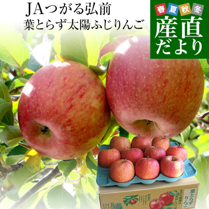 楽天市場 ダイヤモンド プラチナ会員限定クーポン配布中 青森県より産地直送 Jaつがる弘前 葉とらず太陽ふじりんご 3キロ 9玉から13玉 糖度13度以上 林檎 リンゴ 送料無料 産直だより