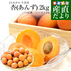 長野県産 JAながの 生食用「杏(あんず)」(品種：ハーコット) 秀品 Lサイズ以上 約2キロ(4パック入り) 送料無料 アプリコット 杏子 クール便