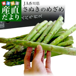 アスパラガス 産地直送の人気商品 通販 価格比較 価格 Com