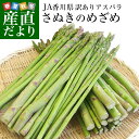 送料無料 香川県より産地直送 JA香川県 訳ありアスパラ さぬきのめざめ (春芽) 大小込 約1キロ 丸亀市他