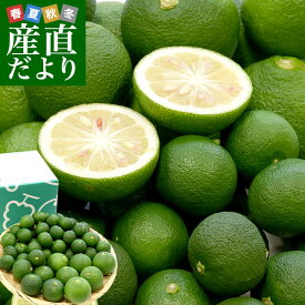 楽天市場 ゆず 産地 都道府県 大分 フルーツ 果物 食品 の通販