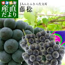 送料無料 山梨県より産地直送 JAふえふき 八代支所 藤稔 大ボリューム 約2キロ(3房から4房)葡萄 ぶどう 夏ギフト2019 ※クール便