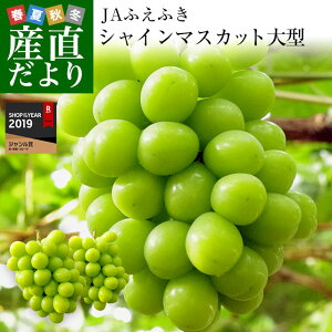 山梨県より産地直送 JAふえふき シャインマスカット 1.2キロ (約600g×2房入り) 送料無料 ぶどう 葡萄