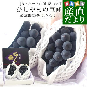 RYn JAt[cREHRx Ђ܂̋ ōFSÂ v1.3L(650g×2[)  N[