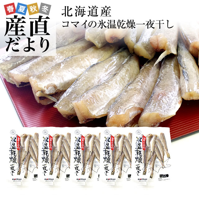 本物北海道産　コマイ（氷下魚）の氷温乾燥一夜干し　約1キロ（200g×5袋） 送料無料