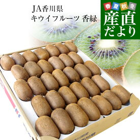 楽天市場 栽培 北海道 キウイフルーツ キウイフルーツ フルーツ 果物 食品の通販