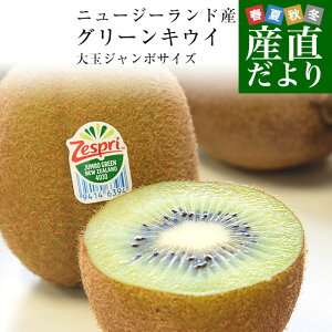 ニュージーランド産 ゼスプリ・グリーンキウイ 「ジャンボサイズ」 約1.8キロ(合計12玉入り) 送料無料 キウイフルーツ