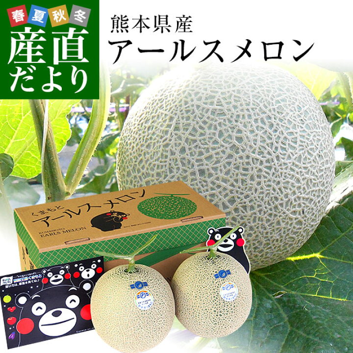 ≪超目玉☆12月≫ アールスメロン 1玉入り 熊本産 マスクメロン 化粧箱 rmladv.com.br ≪超目玉☆12月≫ アールスメロン 1玉入り 熊本産 マスクメロン 化粧箱 rmladv.com.br