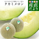 千葉県産 JAちばみどり飯岡メロン部会 タカミメロン(青肉)　秀品 5Lサイズ　約3キロ箱 (2玉入り) 送料無料　貴味メロン　飯岡メロン　メロン　市場発送