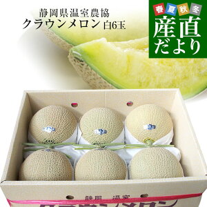 ÉYn É_ƋgNEx NE  7.5L i6ʁj  ߂