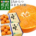 送料無料 佐賀県産 JAからつ はまさき 秀品 2.5キロ お買い得2箱セット (12から18玉×2箱) 市場スポット 柑橘 かんきつ