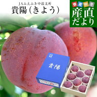 山梨県より産地直送 JAふえふき 中道支所 貴陽 赤秀以上 約1.7キロ(6玉から8玉) 大玉厳選 送料無料 すも…