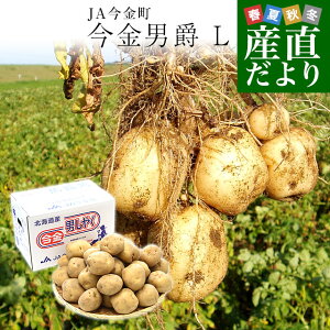 kCY JA Ⴊ j LTCY 5L(32ʑO)@ n鏒 WKC  j݈