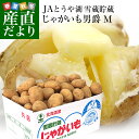 新生活応援価格 北海道より産地直送 JAとうや湖 雪蔵貯蔵じゃがいも (男爵) Mサイズ 10キロ 送料無料 芋 ジャガイモ 馬鈴薯
