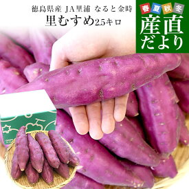 徳島県産 JA里浦 なると金時「里むすめ」 Lサイズ2.5キロ 10本前後　送料無料　きんとき　さつまいも　サツマイモ　薩摩芋　新芋　高系14号　市場発送