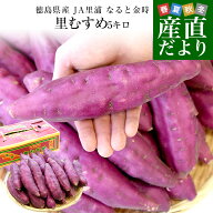 徳島県産　JA里浦　なると金時「里むすめ」　Lサイズ5キロ　20本前後　送料無料　きんとき　さつまいも　…