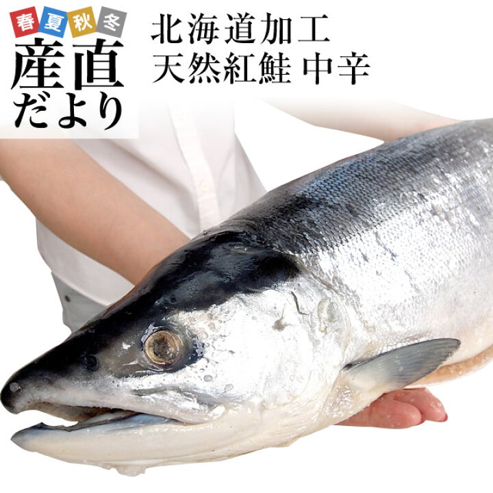 楽天市場】北海道より直送 北海道加工 天然紅鮭 <中辛> まるごと1本 1.6キロ以上(ロシア産) 送料無料 紅鮭 べにさけ シャケ 冬ギフト : 産直だより 楽天市場】北海道より直送 北海道加工 天然紅鮭 <中辛> まるごと1本 1.6キロ以上(ロシア産) 送料無料 紅鮭 べにさけ シャケ 冬ギフト : 産直だより